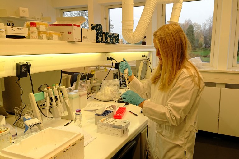 Monica Skogen som holder på å preparere prøver til sekvenseringsmaskinen. Foto: May Bente Brurberg