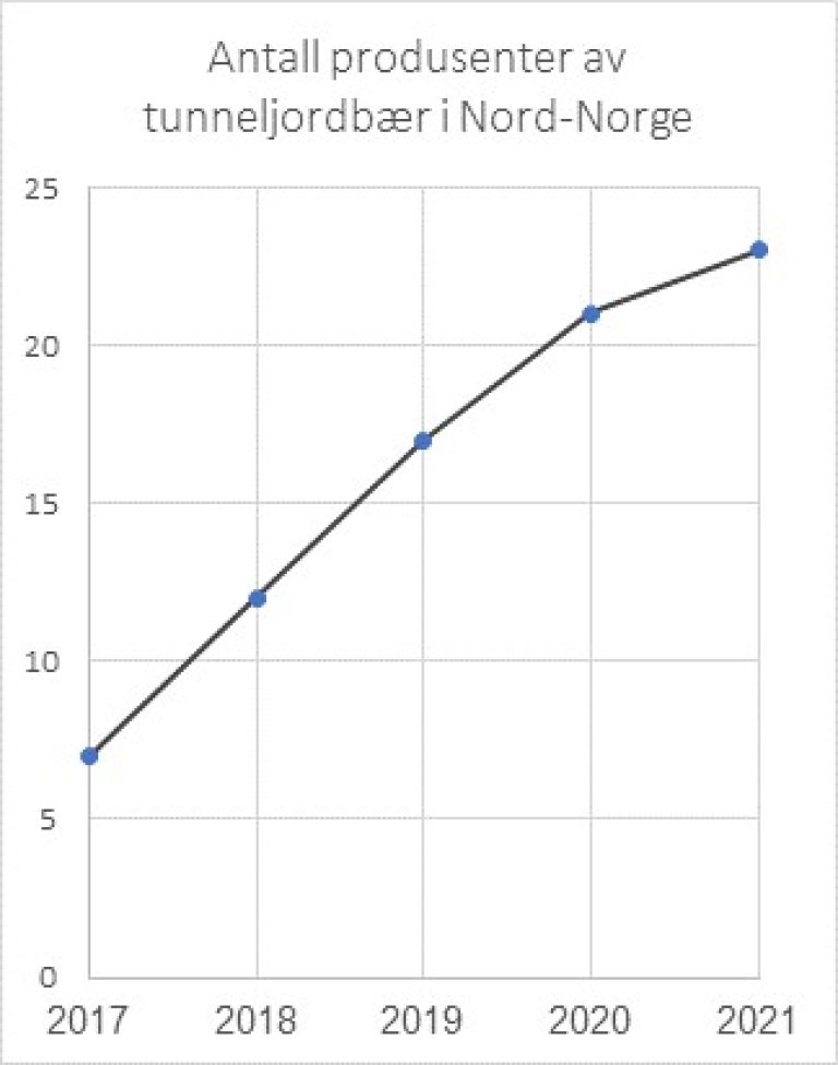 Jordbærprodusenter i tunell.jpg