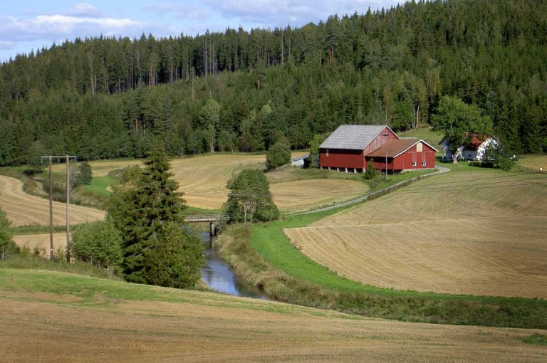 jordbrukslandskap.jpg