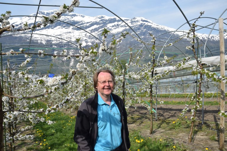 Mekjell Meland blomstring 2016.JPG