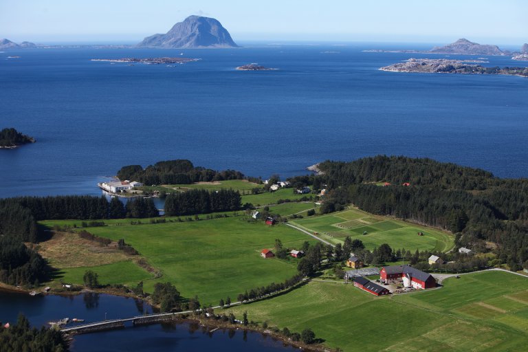 1. Fureneset med Alden.JPG