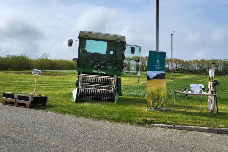 Grovfordag på NIBIO Særheim. Foto: Gry S Espeland