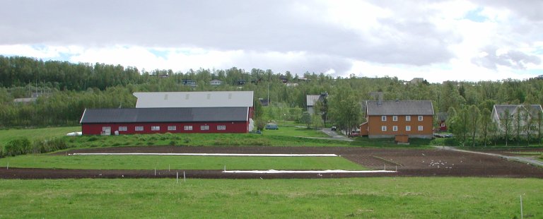 NIBIO Tromsø, Holt