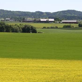 20-51-Jorde i Vestfold_Foto Ragnhild Sperstad