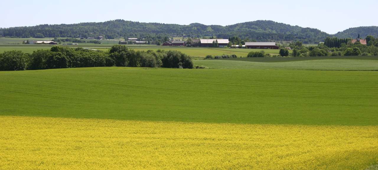 20-51-Jorde i Vestfold_Foto Ragnhild Sperstad