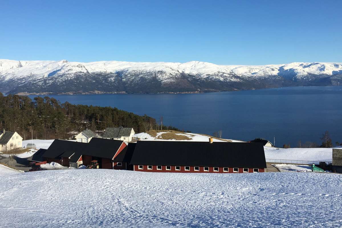 Åse samdriftsfjøs_Kvam_Hardanger_Hordaland_Foto Kjersti Kildahl