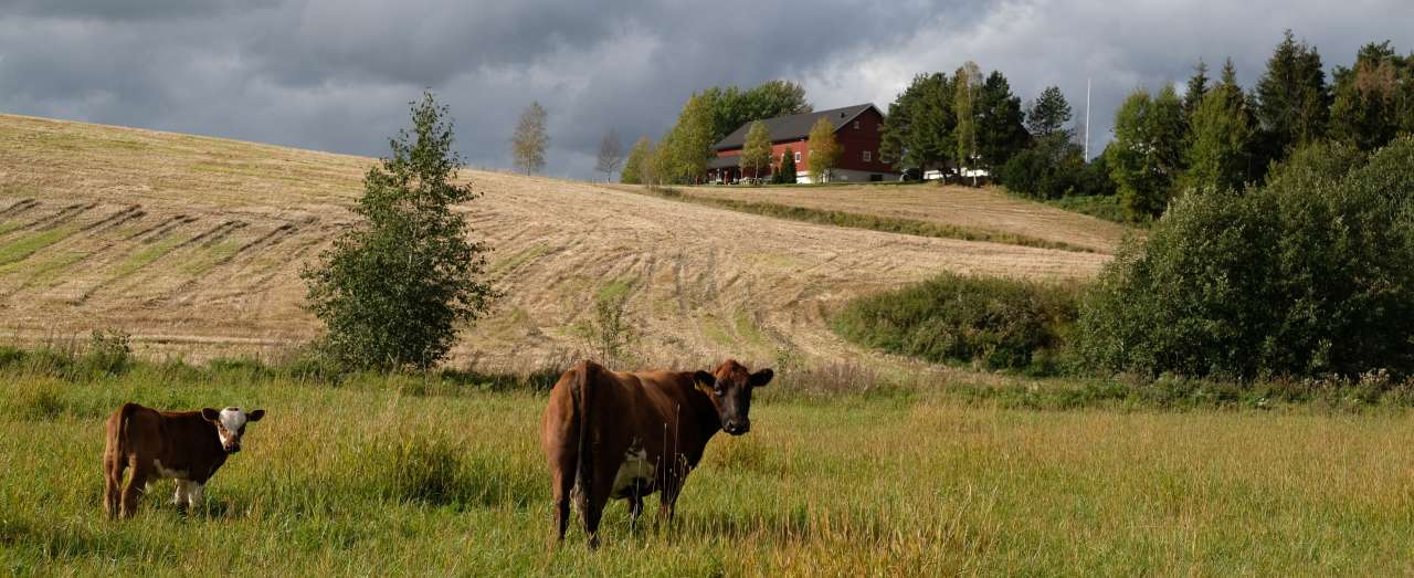 7-53-Tala som fortel om norsk sjølvforsyning_Foto Kjersti Kildahl