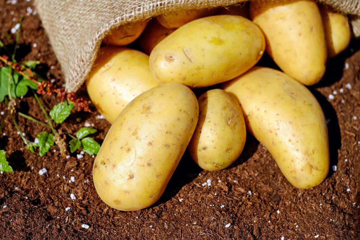 potatoes-g05376a806_1920