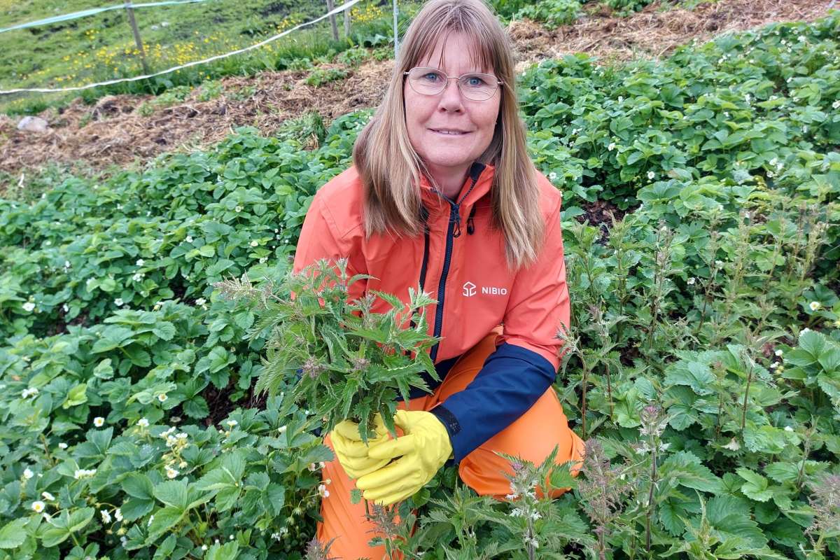 Eva Narten Høberg_NIBIO