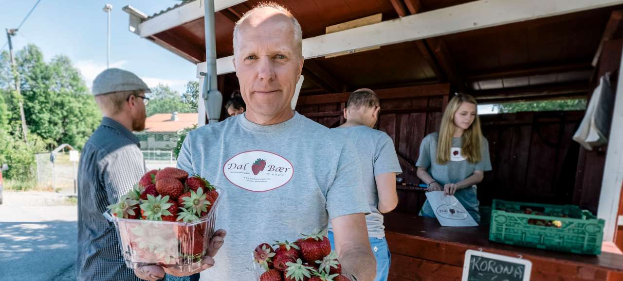 17-16-Jordbærbonde Bjørn Dahl_Foto.Ragnar Våga Pedersen