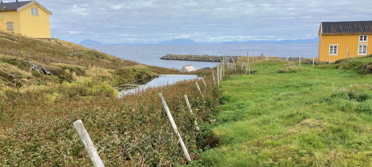 17-11-Vil restaurere truede naturtyper_Line Johansen