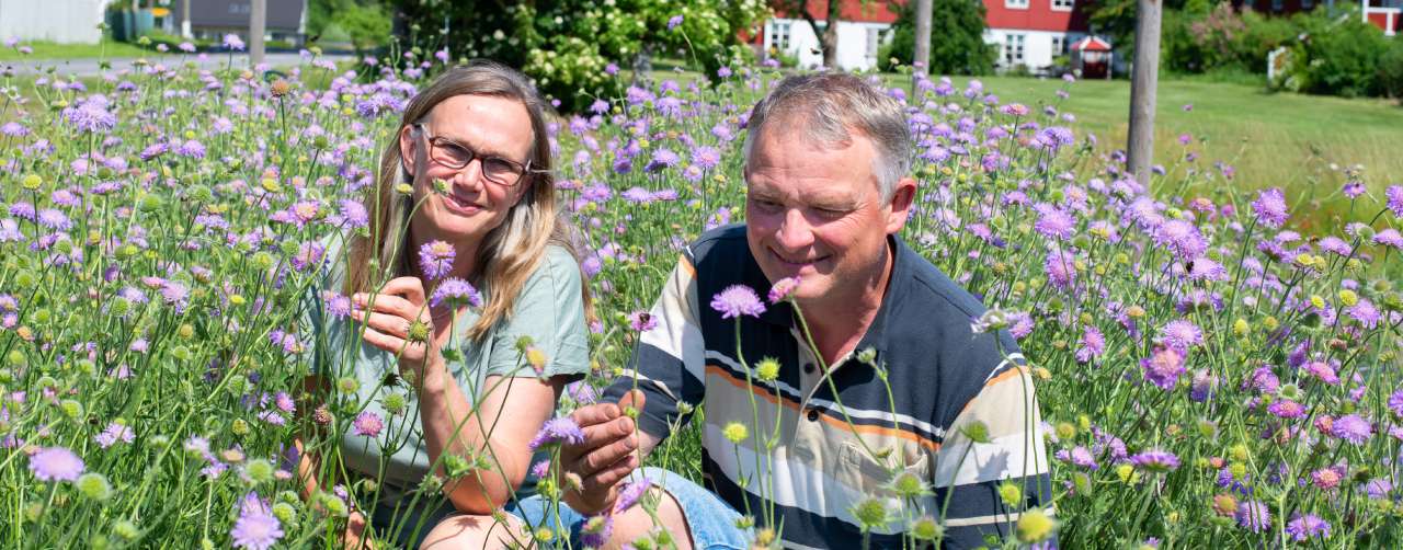 40-17-Blomsterenger-Foto Anette Tjomsland Spilling-uts