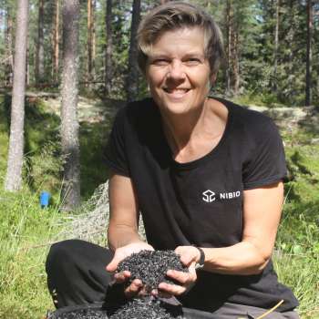 27-23 - Biokull til gjødsling og karbonfangst i skog - Foto Kjersti Holt Hanssen