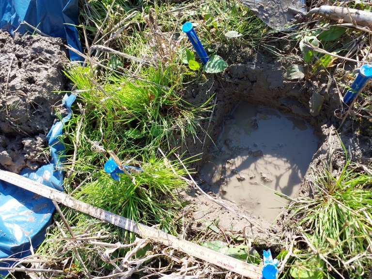 JordVAAK_2__datafangst på ei prøveflate_foto_Teresa_G_Bárcena.jpg