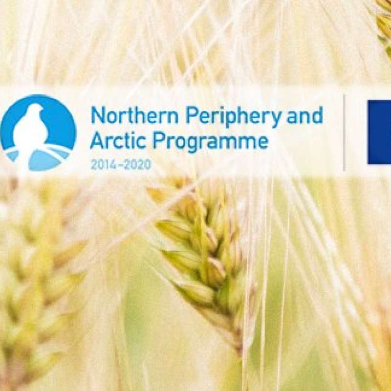 Northern Cereals_banner_13934793_10206832421785635_4785644776252176989_n