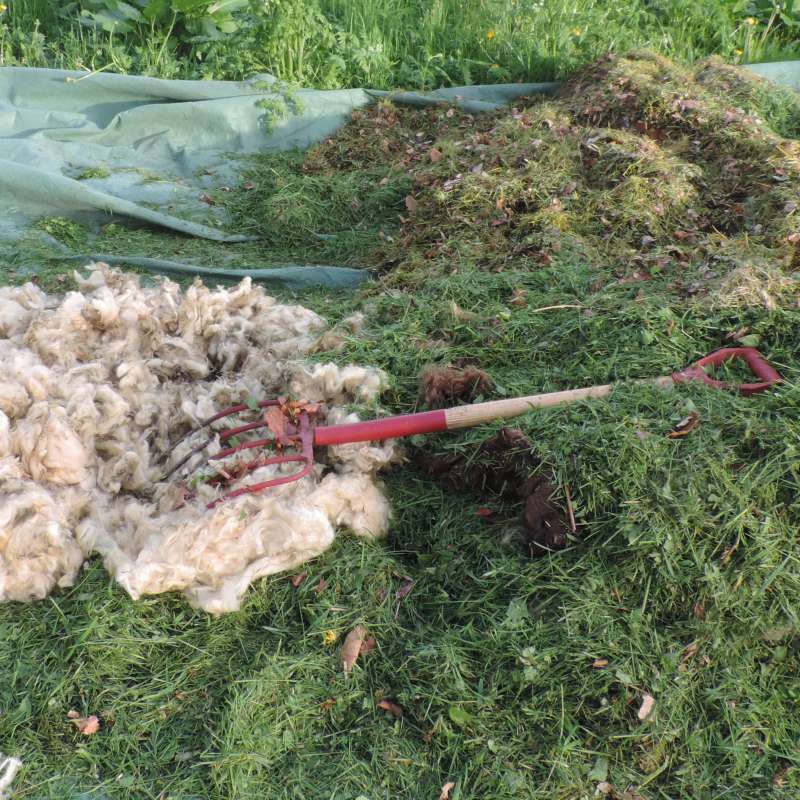 Ull blandet med gressklipp i kompost Foto KMC DSCN5639