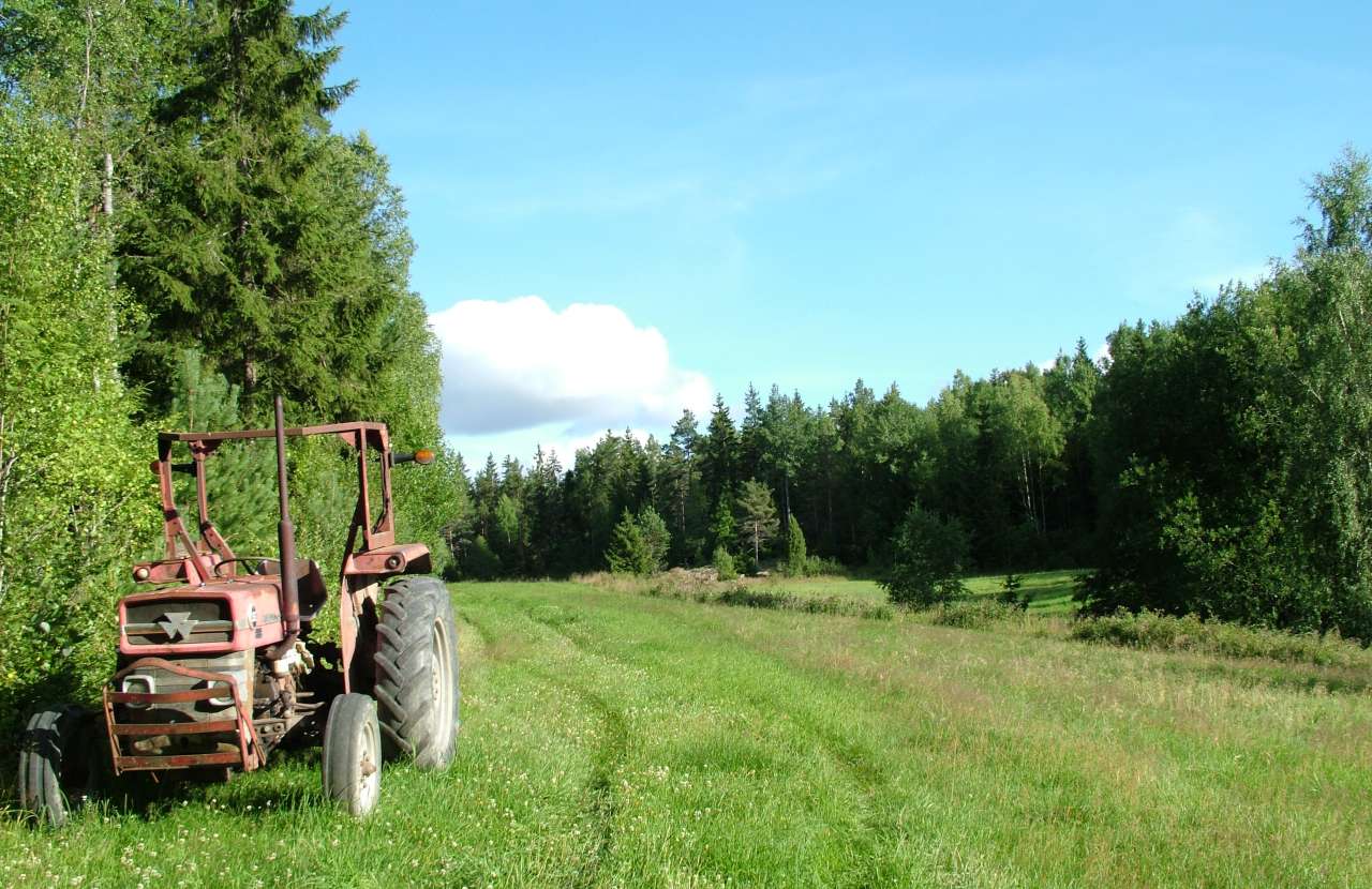 Gammel traktor i kanten av et jorde 