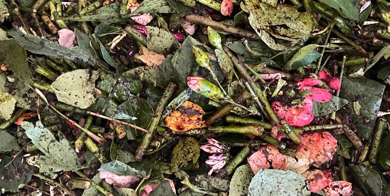 Kompost av blomster