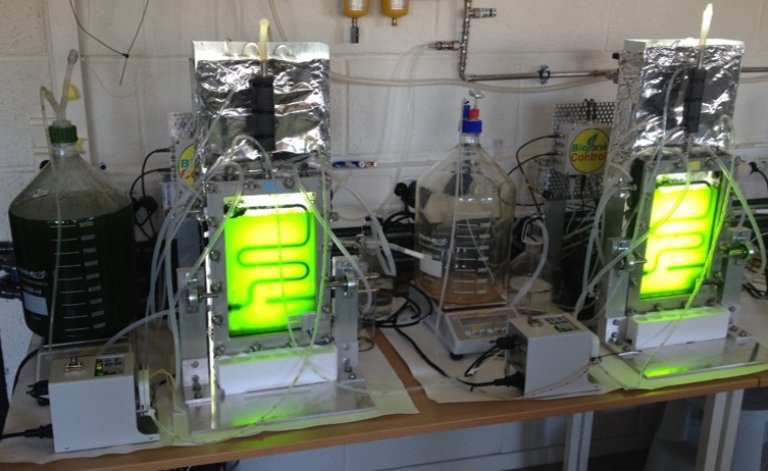 fig 3 photobioreactor.jpg