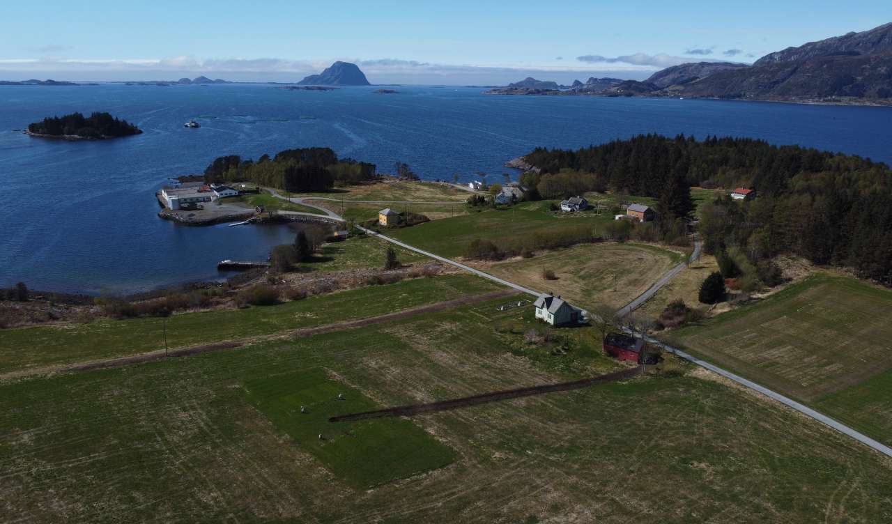 Drenert myr som brukes til landbruksformål 