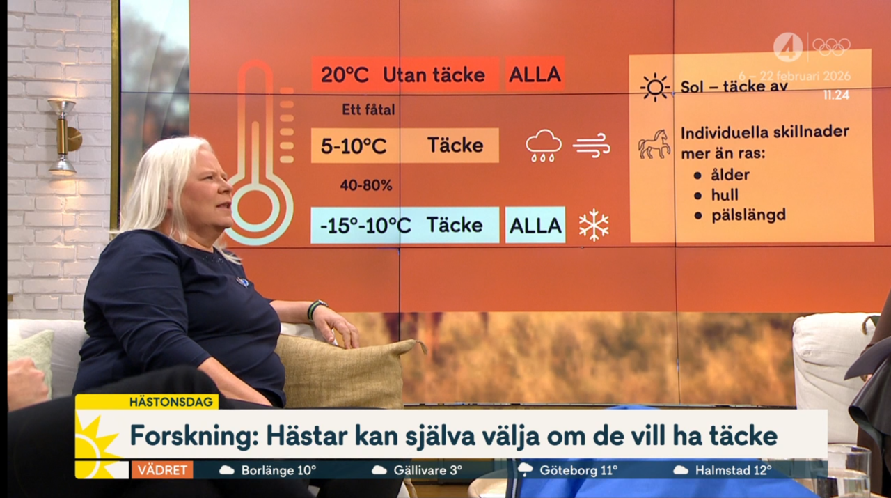 Karin på TV4
