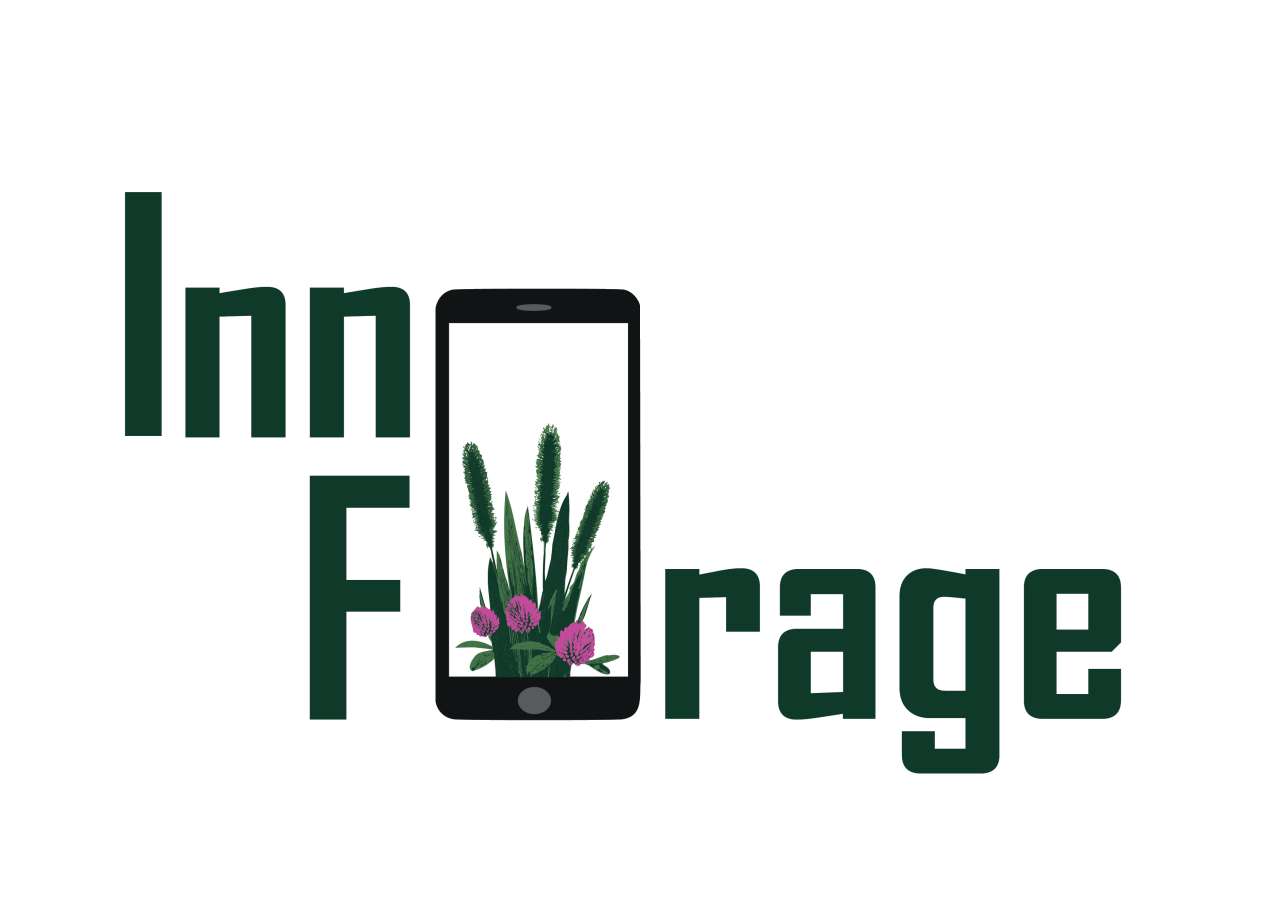 InnoForage logo timothy and clover