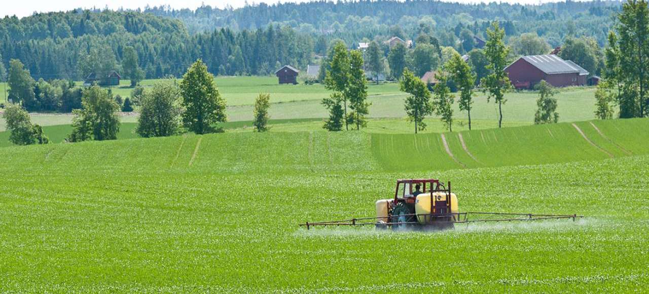 Sprøyting i åker