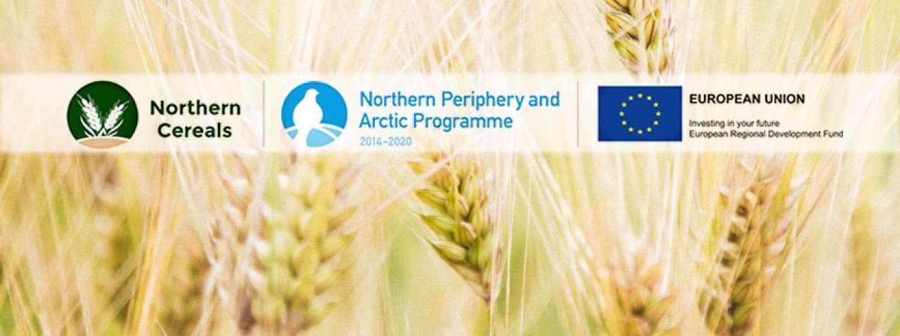 Northern Cereals_banner_13934793_10206832421785635_4785644776252176989_n