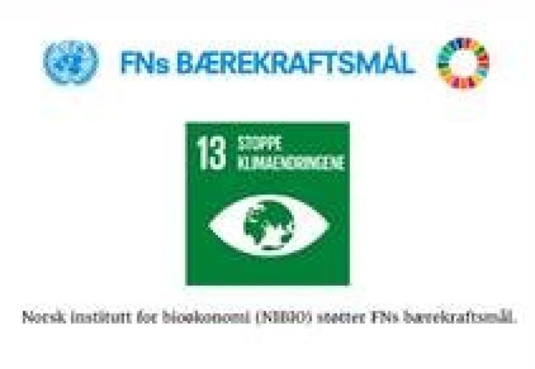 FN-bærekraftsmål-13.jpg