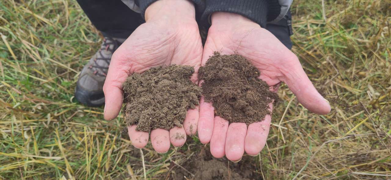 Soil samples from regenerative and conventional fields