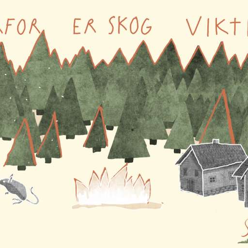Skogprat - Nibio