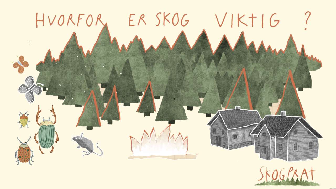 Hvorfor er skog viktig