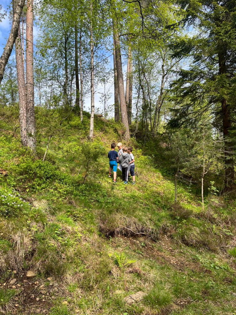 Bilde av barn i skogen