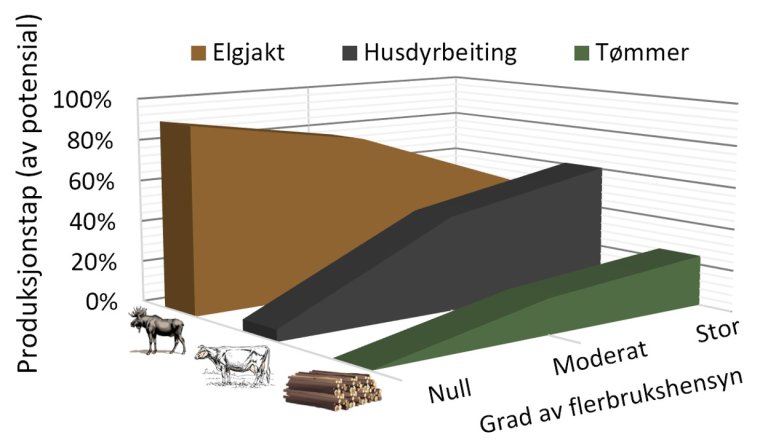 Skogsbeite flerbrukshensyn figur