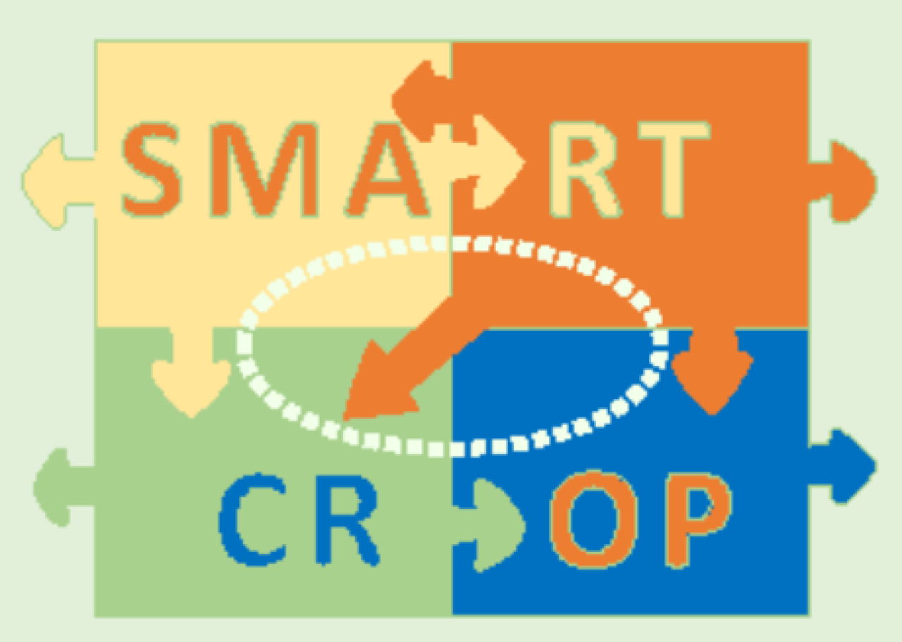 SmartCrop-LOGO-v004