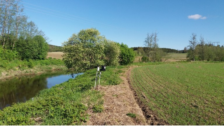 kantsoner med gras.jpg