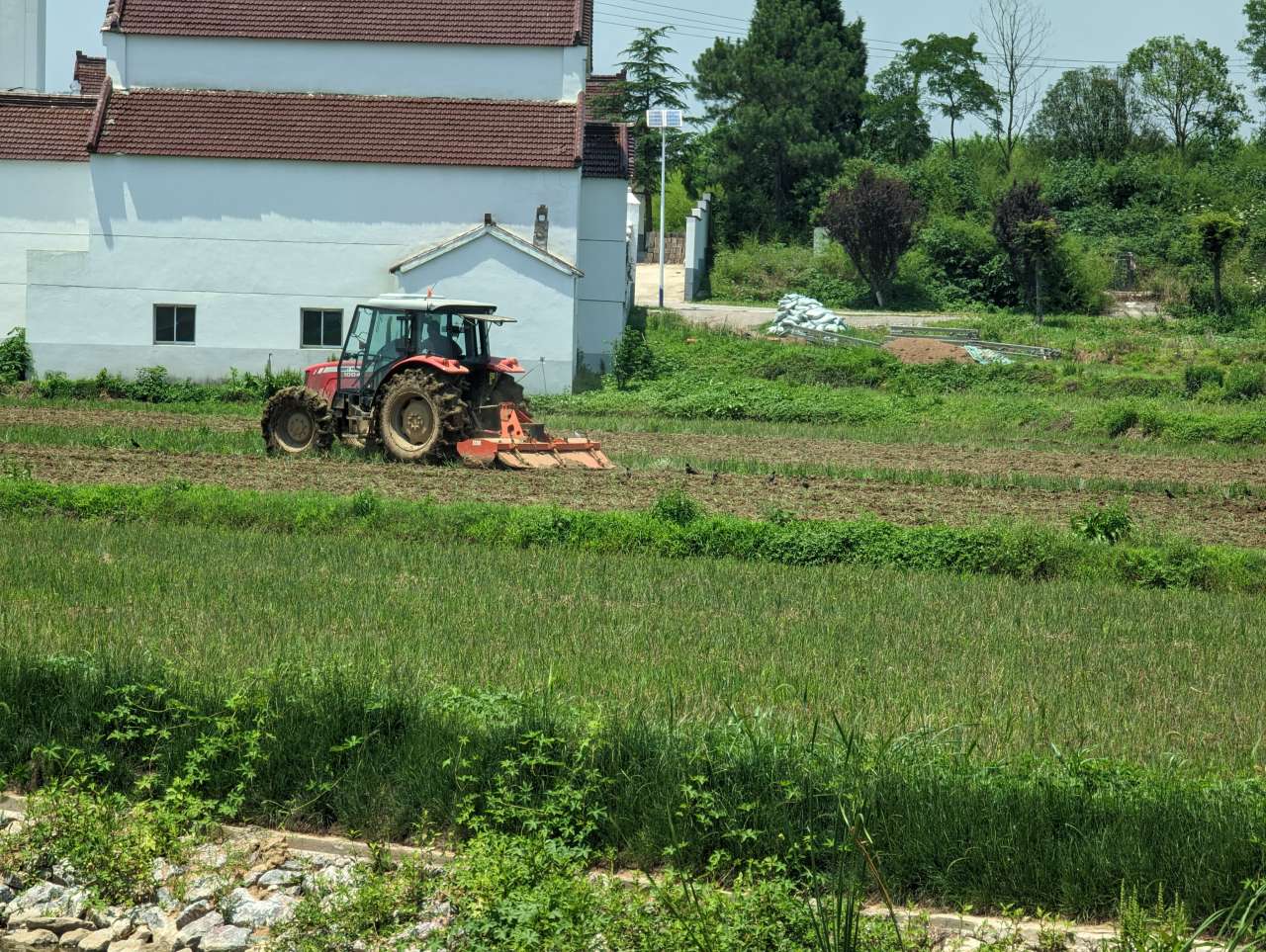 Jordbruk i Kina