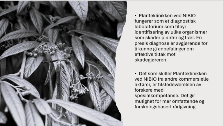 Skjermbilde 2025-11-06 164300.png