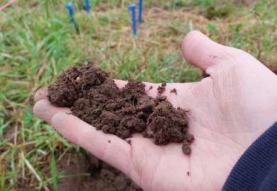 Jord i overflatesjiktet 