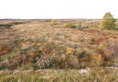 9a Rismyr_Smøla_020102010_JOH