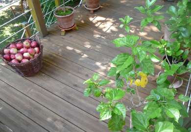 24369 Terrassebord rillet CU skjerm