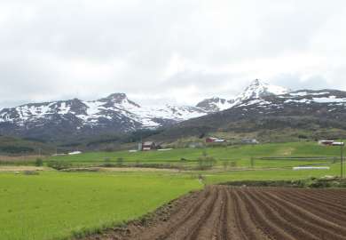 lofoten0612 067