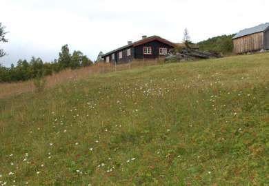 Busetvollene (3)_beskåret 
