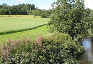 Elv m åker_vegsone Foto E. Skarbøvik