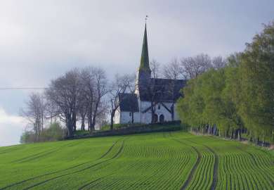 Steffenrem-1231
