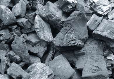 Charcoal2
