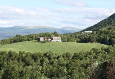 Gjennomsnittlig jordstykkestørrelse_Hanna_Timmermann