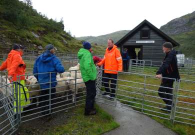 Sanketrø og veiehus2_Beinhellerhaugane_Vaksdal_16082019_MIA