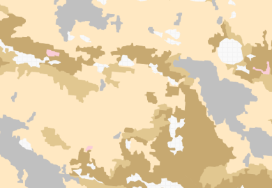 AR50_snaumark
