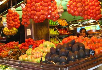 Mangfold av tomatsorter.